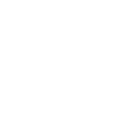 TLM